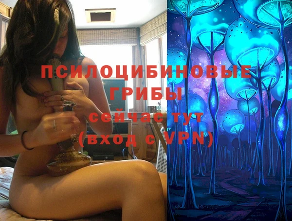 МДПВ Лихославль