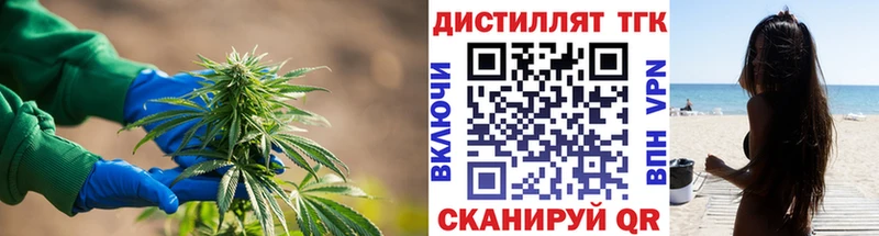 Купить закладки  Железногорск  Дистиллят ТГК жижа 